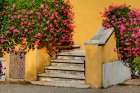 Italy-Tuscany Stairs covered in flowers Art Print